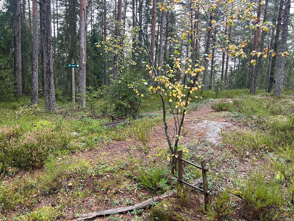Rester etter utsiktstårnet på Borjern.