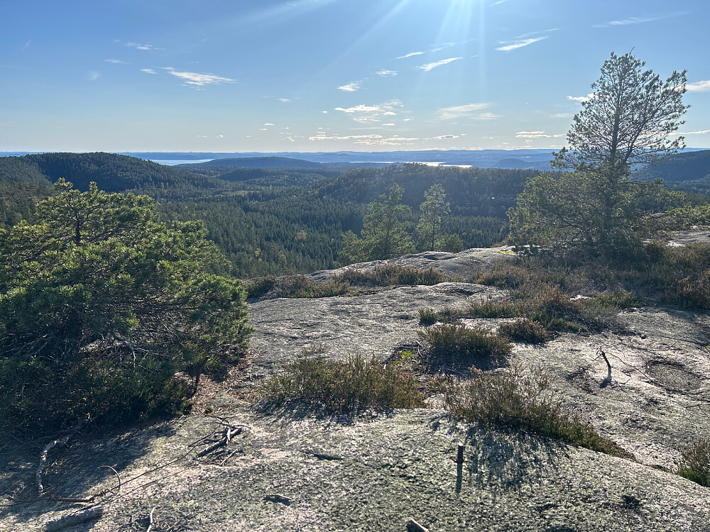 Trigpunktet på Rødbykollen og utsikt sørvestover.