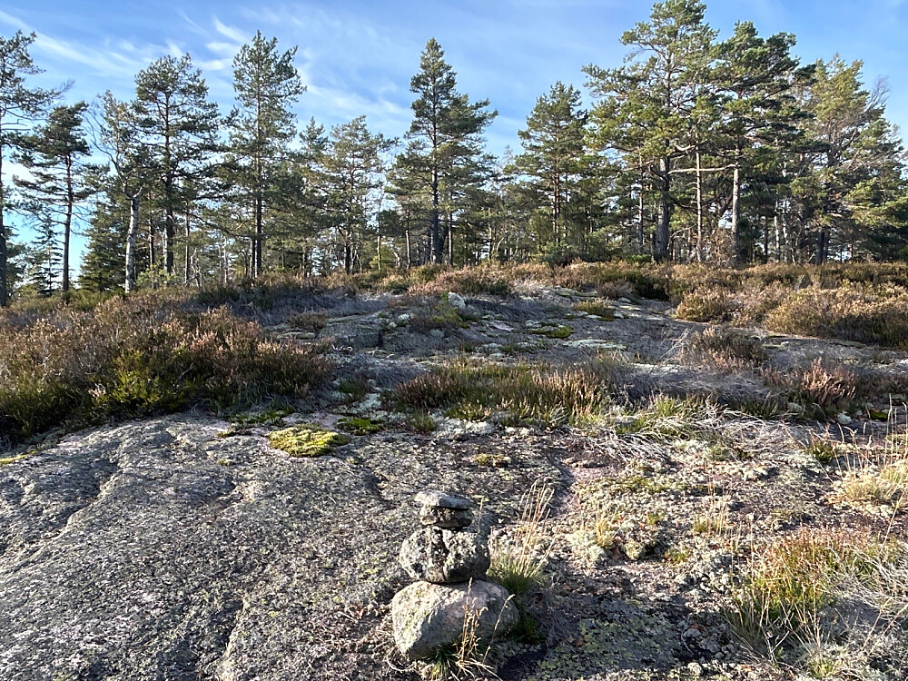 Det har vært noen her før på vei mot Bergervannhøgda.