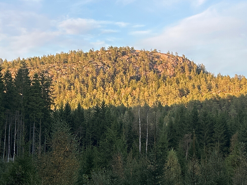 Rødbykollen i kveldssol.