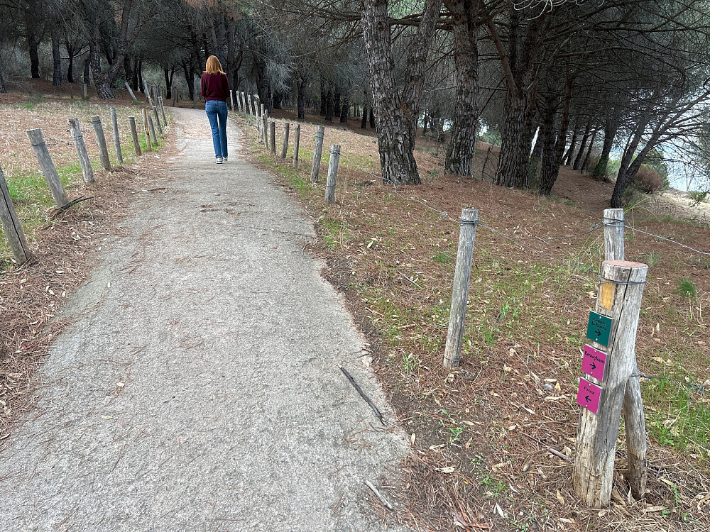 Hendene i lomma på brede stier i en park.
