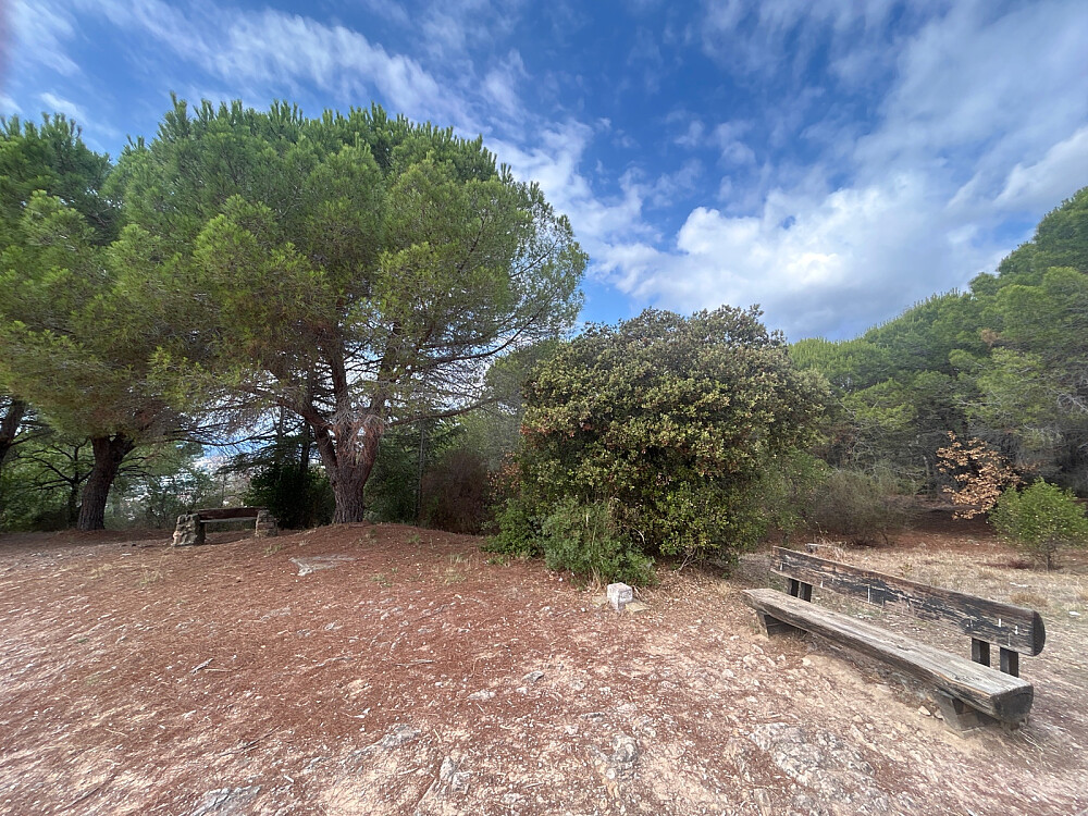 Muligens er toppunktet borte ved det store treet.