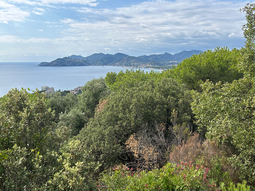 Utsikt fra der det pleide å stå et kors. Det blåste ned i 2024 mente jeg det stod. Skal komme opp igjen.