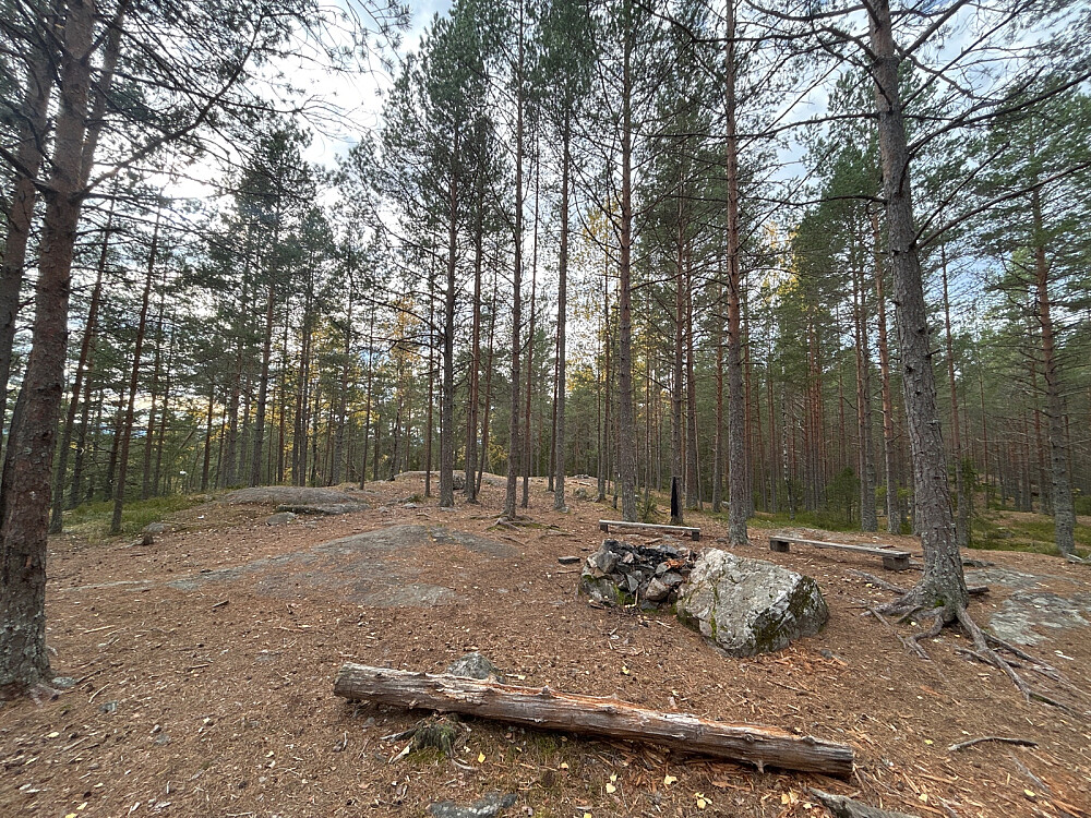 Dette toppunktet har fått navnet "Ormåsen Lysløype". Det vel kunne sies å være feil.