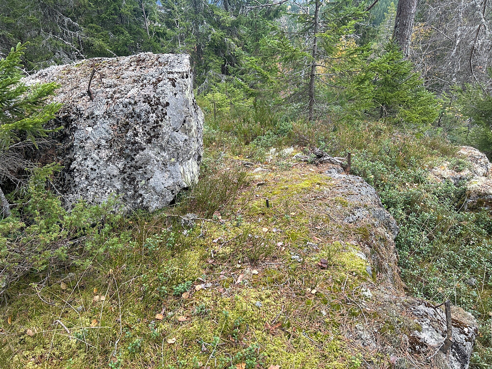 Trigpunktet på Skorpeberget.