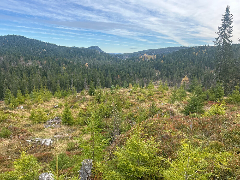 Utsikt østover over Eiksetra og Garsjø mot Lierdalen.
