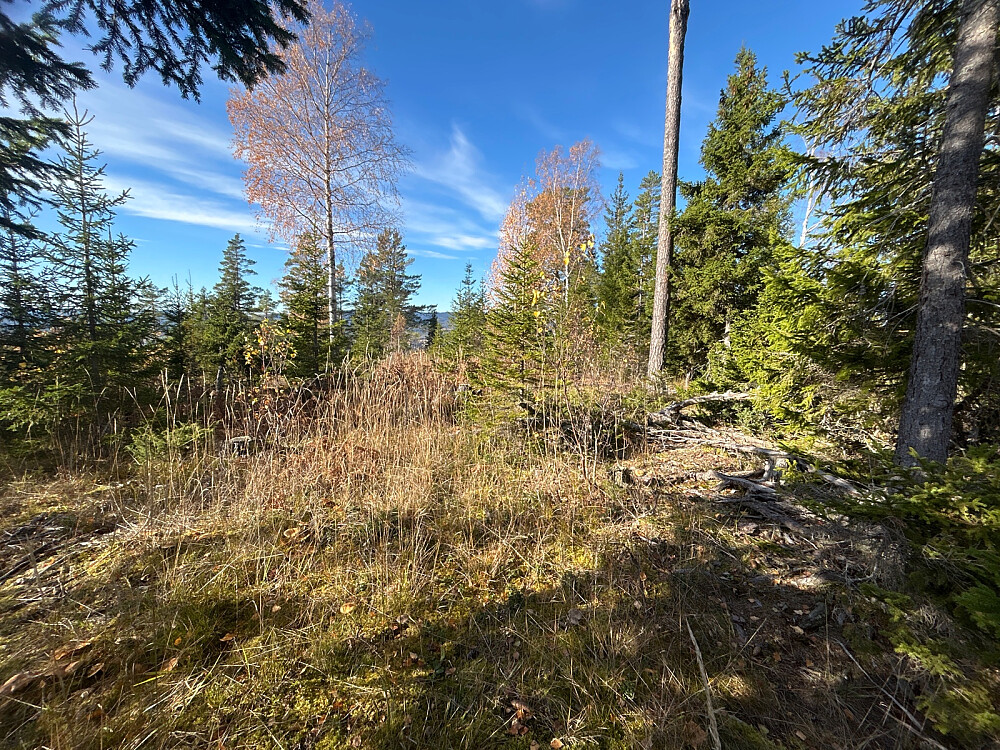 Toppen av Slettbakkåsen.