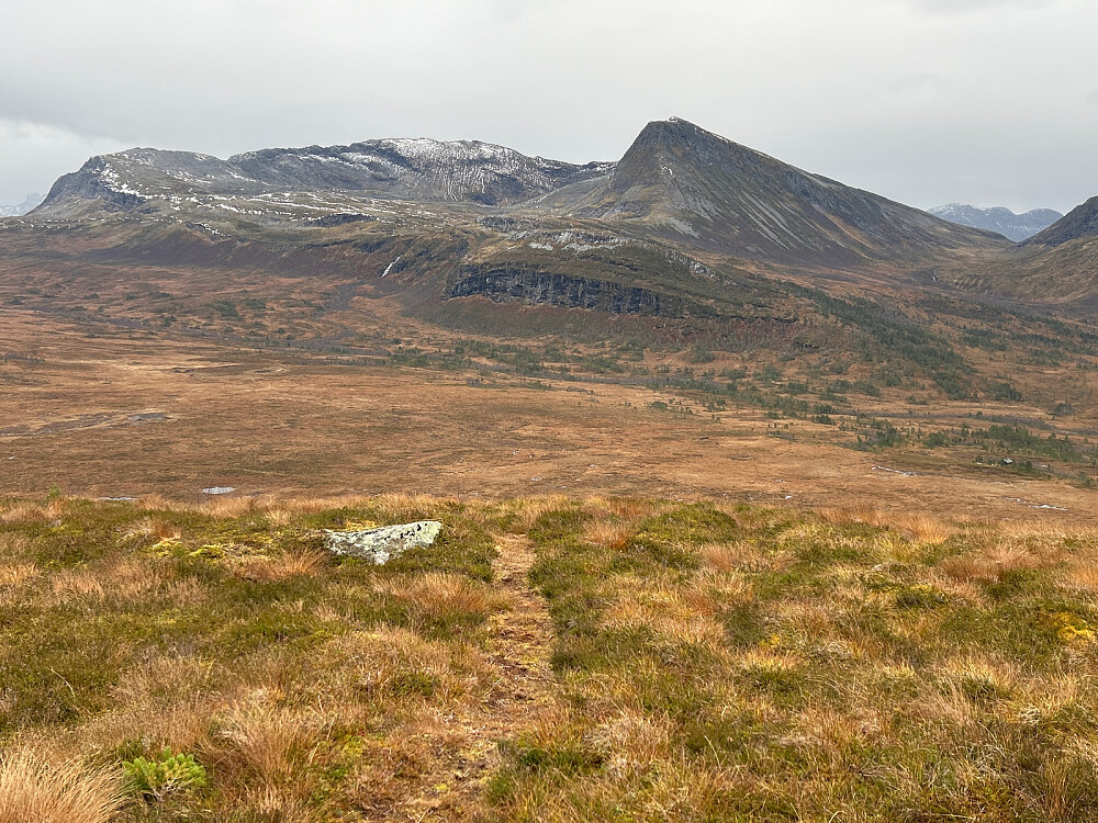 Utsikt sørover fra toppen av Nysæternakken mot Høgsvora. Og jeg begynte å fundere over om den store sletta hadde vært noe bra nybrottsland for Isak, siden jeg gikk med lydbok i øret:-)