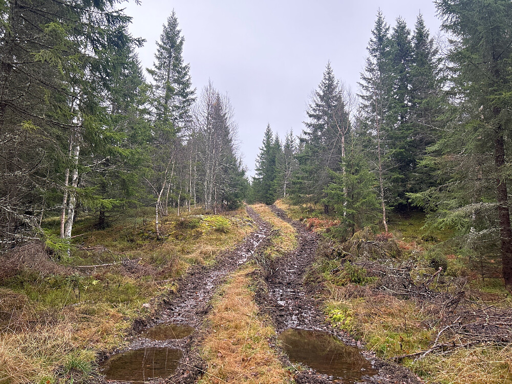 Den gjørmete traktorveien.