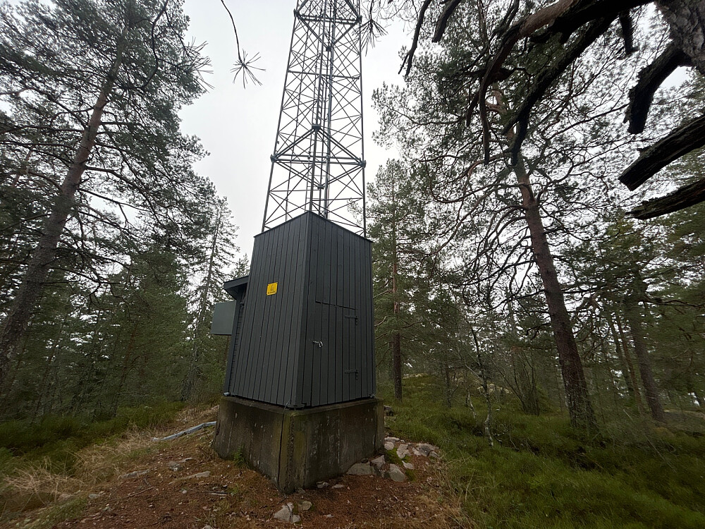 Høyeste punkt er ikke ved masten på Kaldåkeråsen, men noen meter lengre bak.