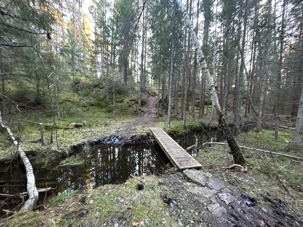 Fin tilrettelegging med bro langs stien.