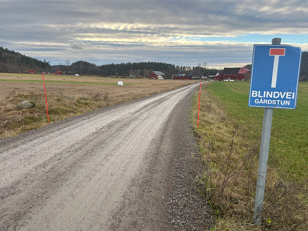 Rett etter turstart. Høydedraget jeg skal opp på er borte til venstre et sted.