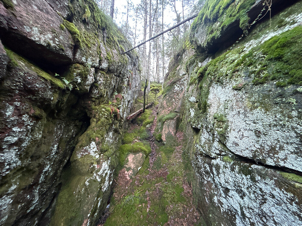 Her er jeg over den tyngste delen oppover mot Merratoppen, men likevel bratt opp denne kløften.
