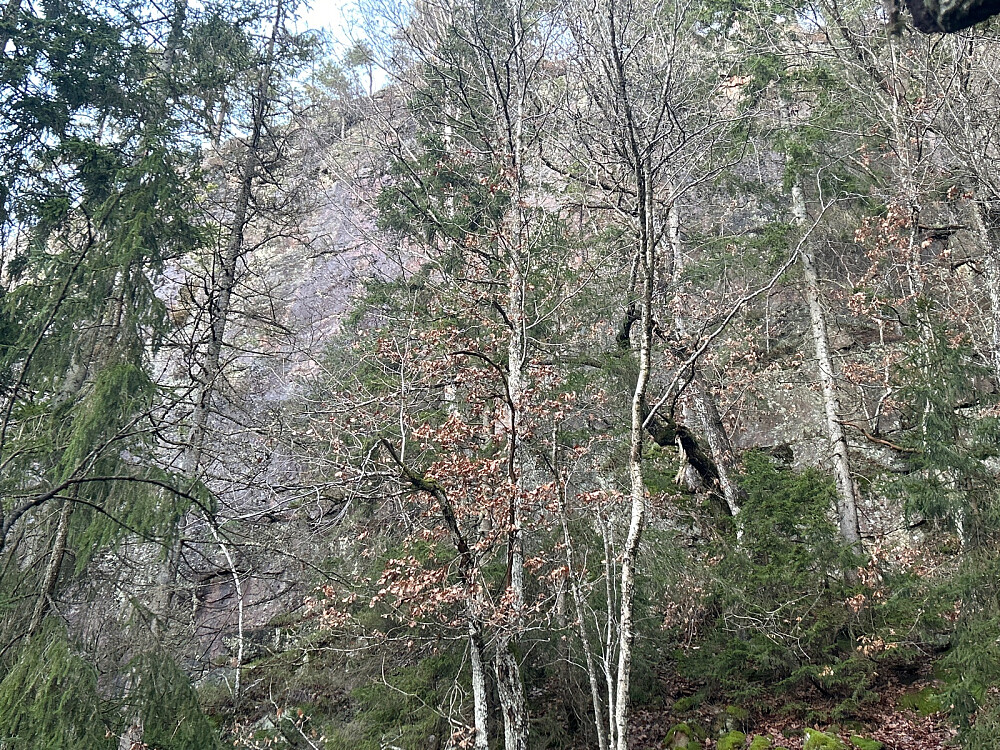 Sørsiden av Merratoppen har stup som jeg omgikk på østsiden.