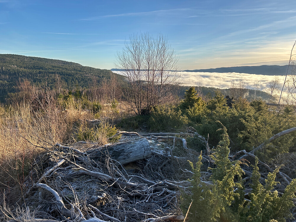 Det egentlige toppunktet på Krukekollen. Tåke i Drammensdalen.