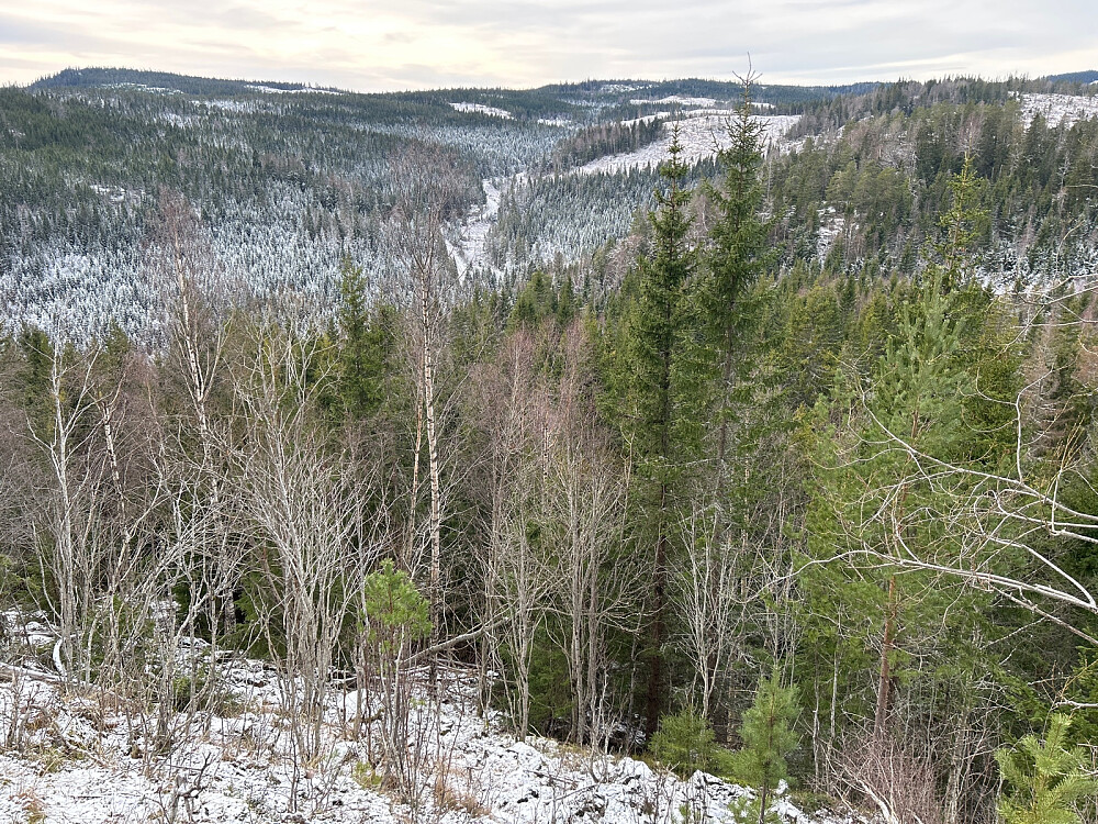 Her gikk jeg faktisk ned fra Slåttsmyråsen. Ganske bratt ned mot Gutudalen.