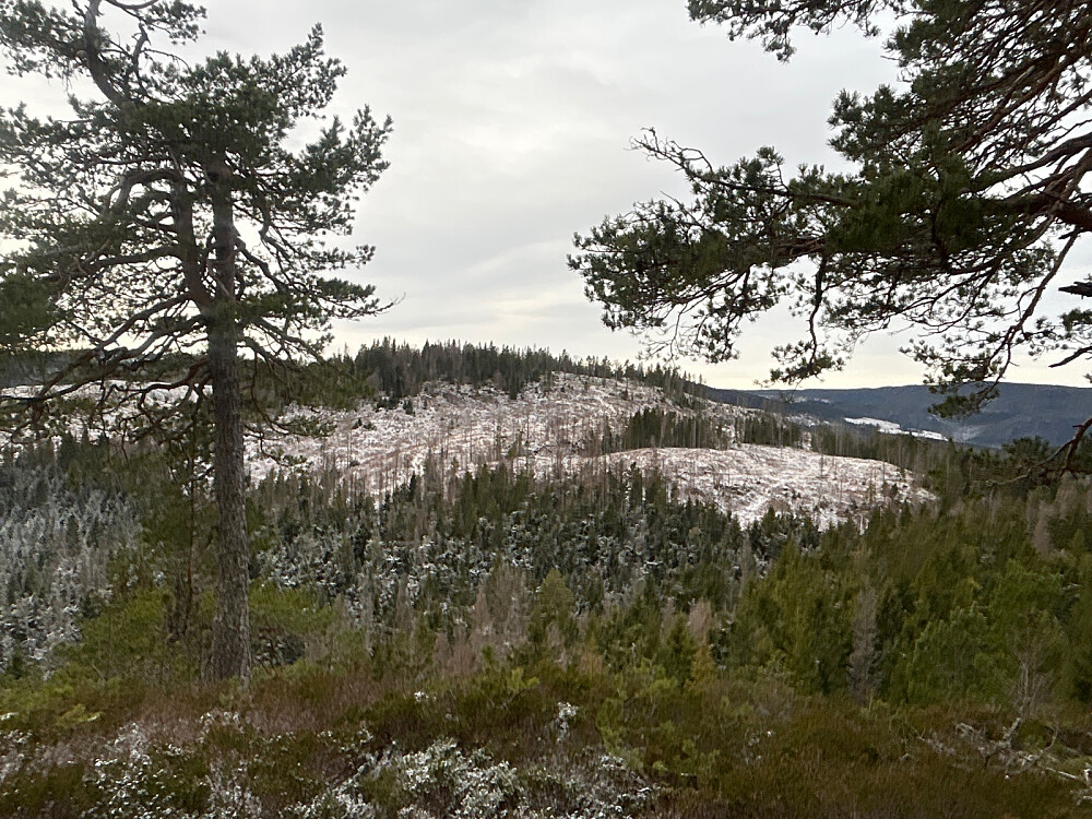 Utsikt mot Åstelja.