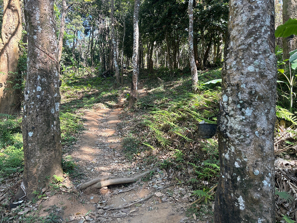 Fin sti oppover mot Black Rock.