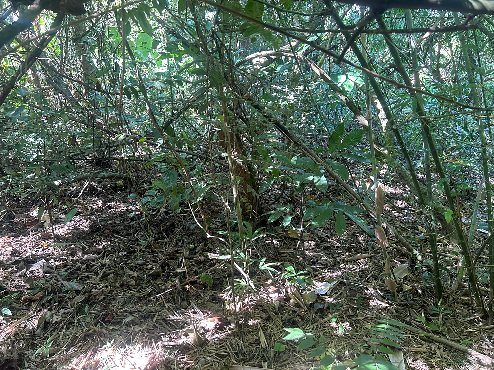 Selve toppunktet var vanskelig å definere, og det ble noe ekstrembushing for å finne det.