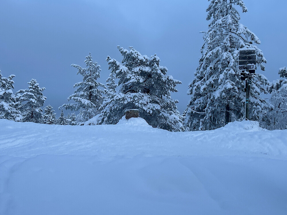 Alltid fint på Skimten.