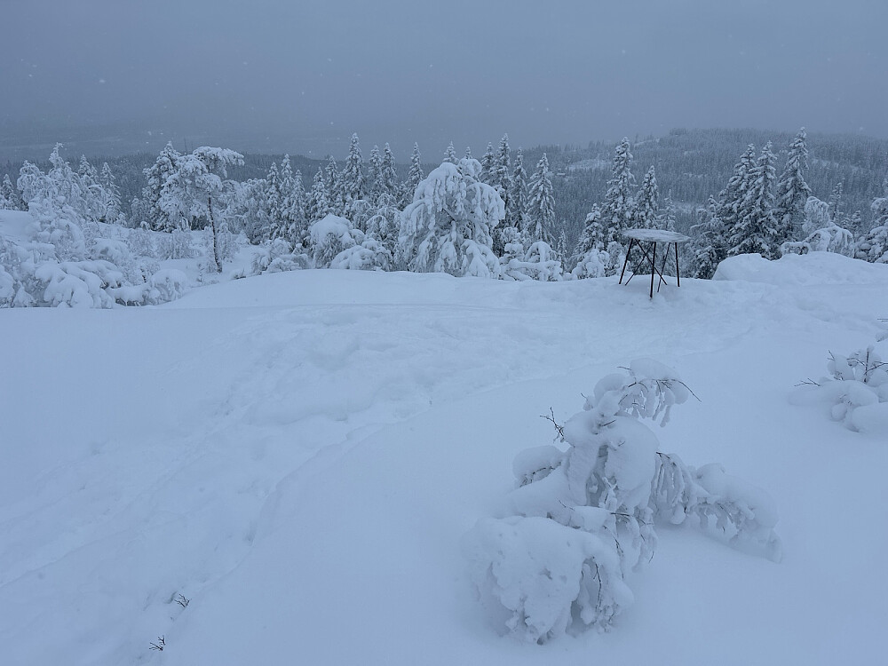 Utsikt fra toppunktet på Ringkolltoppen nordover.
