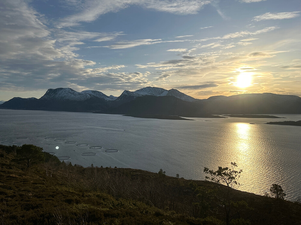 Må vel være Blåskjerdingen omtrent midt i bildet.