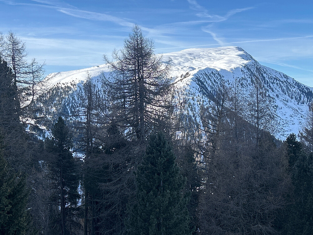 Utsikt til Pala di Santa bak trærne etter at vi har tatt den første stolheisen i Obereggen. Det er jo ikke noe typisk Dolomittfjell synes jeg. Toppstasjonen for heisen ses til venstre for lerketreet midt i bildet. Bak lerketreet går det et skitrekk halvveis oppover mot toppen av Pala di Santa.