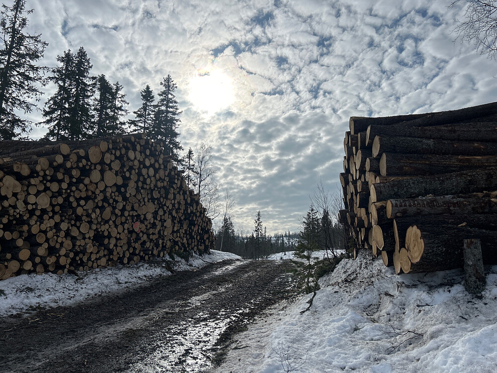 Jeg synes ikke det skal være så vårlig 10.mars mer enn 500 moh i Finnemarka. Dette er ved Bekkely utfartsparkering.