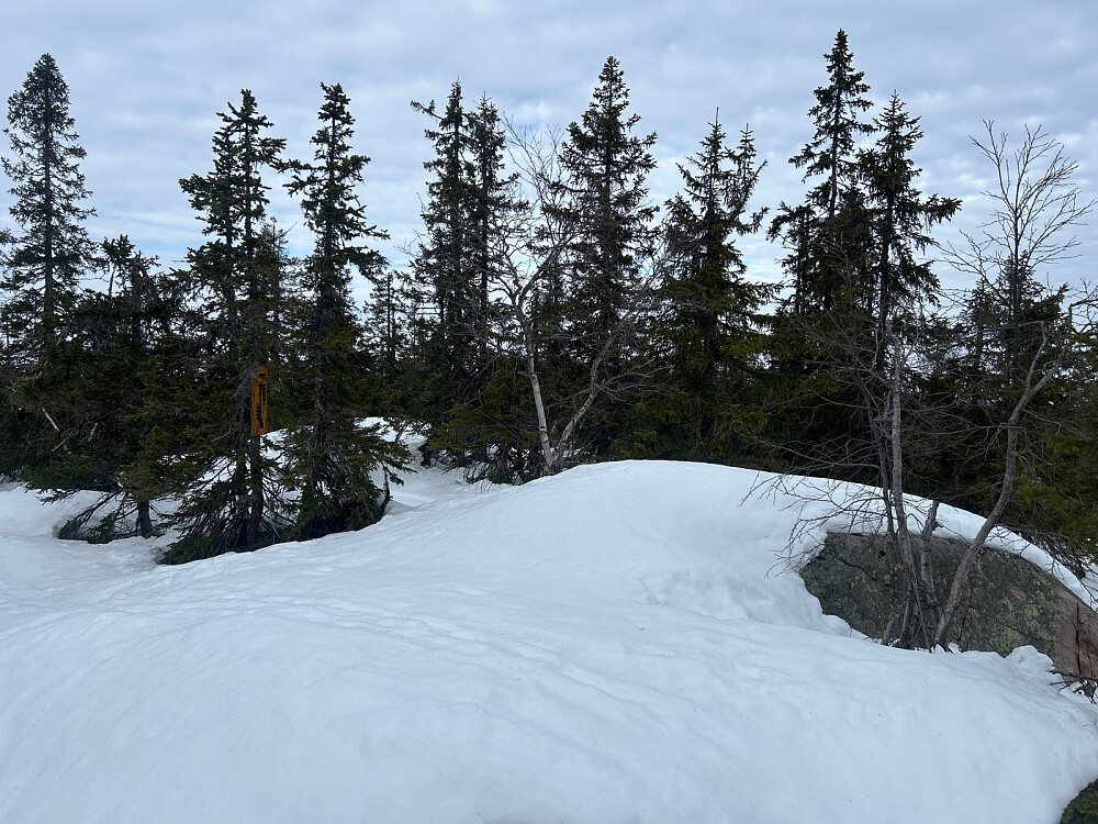 Lauvkollen. Finnemarkas høyeste.