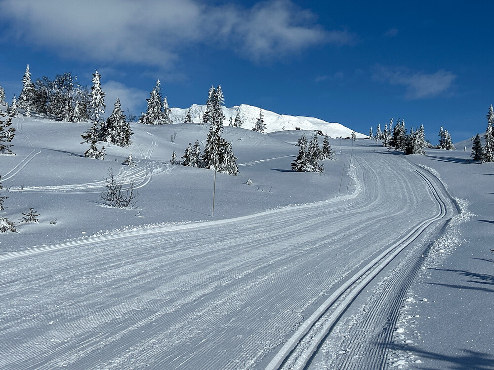 Ble mange bilder av Ranten i dag. Flott fjell i vinterdrakt.