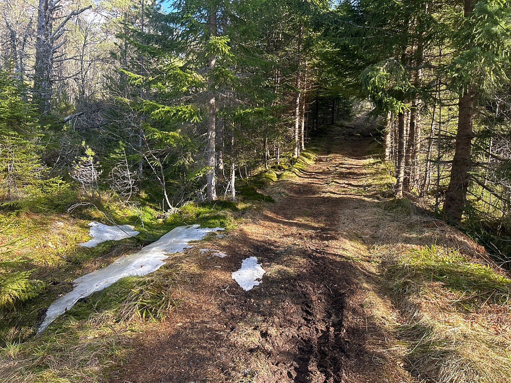 En sjelden snøflekk.