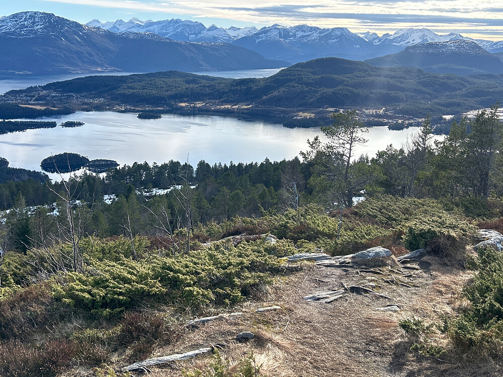 Sunnmørsalpene med lett gjenkjennelige Råna langt til venstre og Jønnshorn ute til høyre.