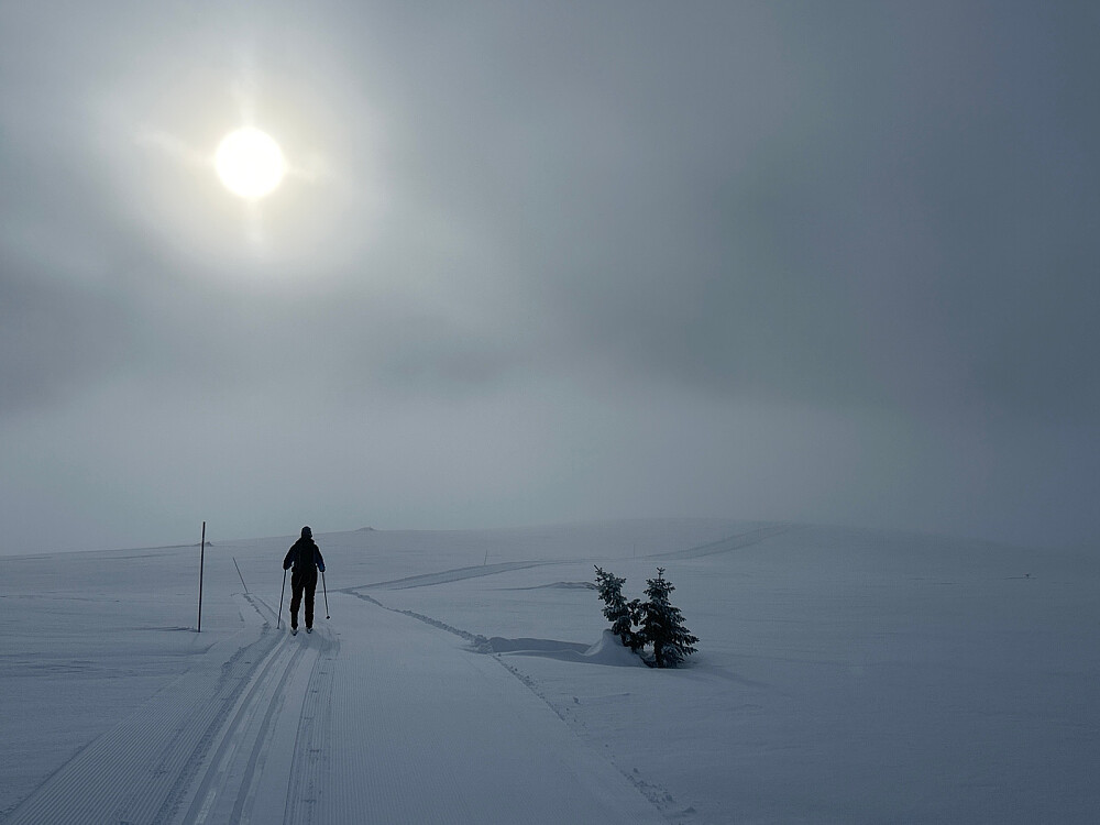 Det fine lyset varte i cirka 3 minutter.