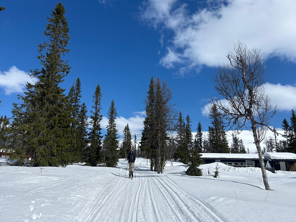 Vegard i langrennsløypa gjennom hyttefeltet i skogen.