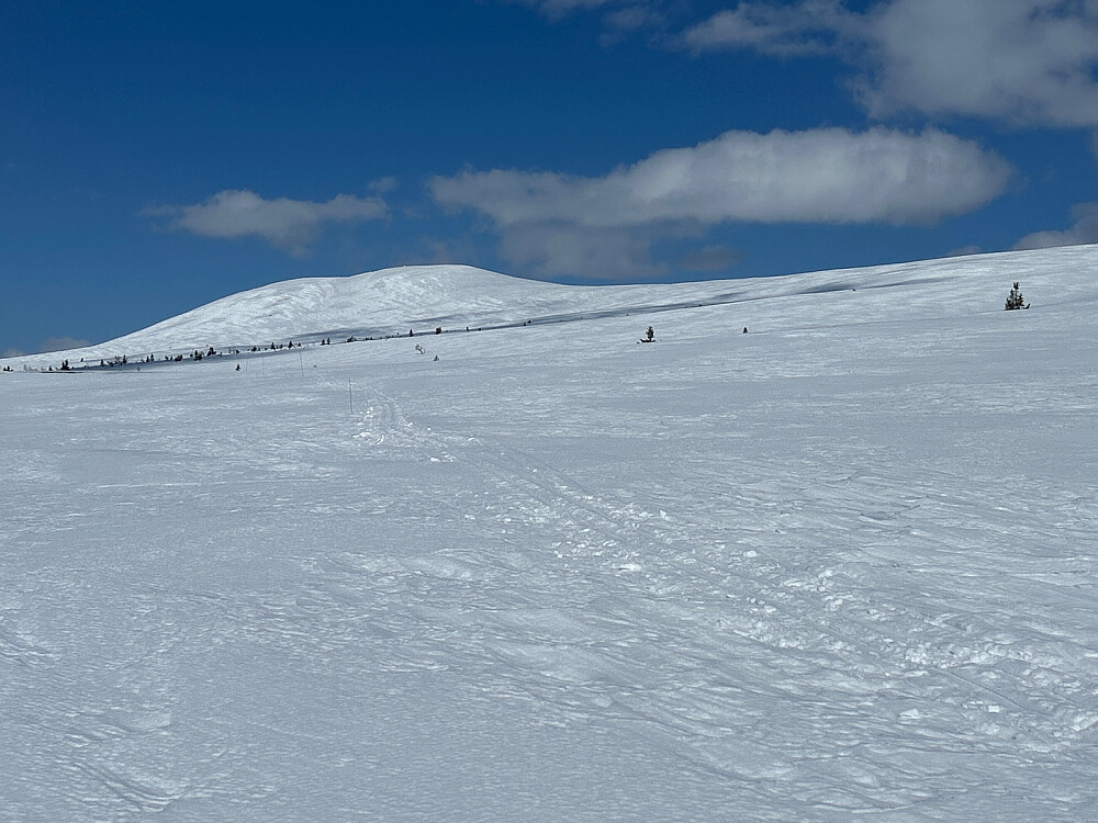 Slettflåhøa - 1154moh, litt til venstre i bildet. Vi tok sikte på skaret til høyre for denne toppen.