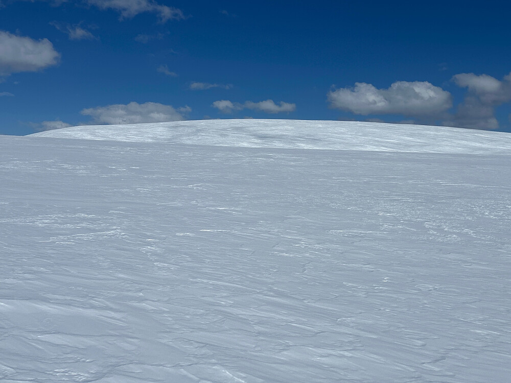 Den lange ryggen i bakgrunnen er faktisk Kampflåhøgda.