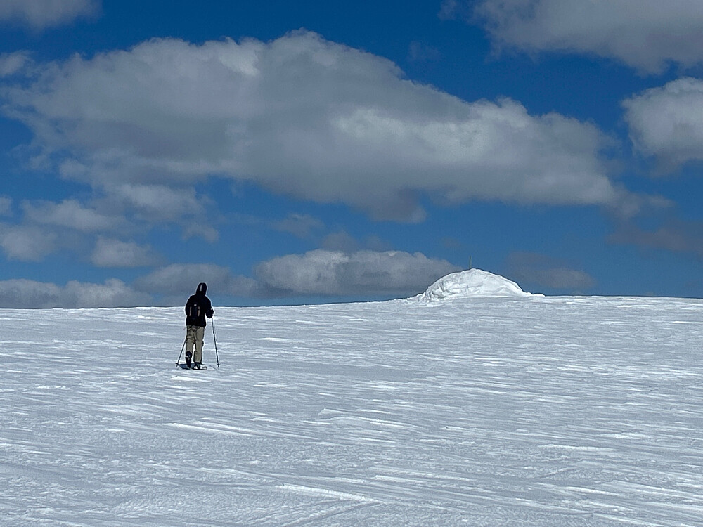 Vegard snart oppe ved varden på Kampflåhøgda.
