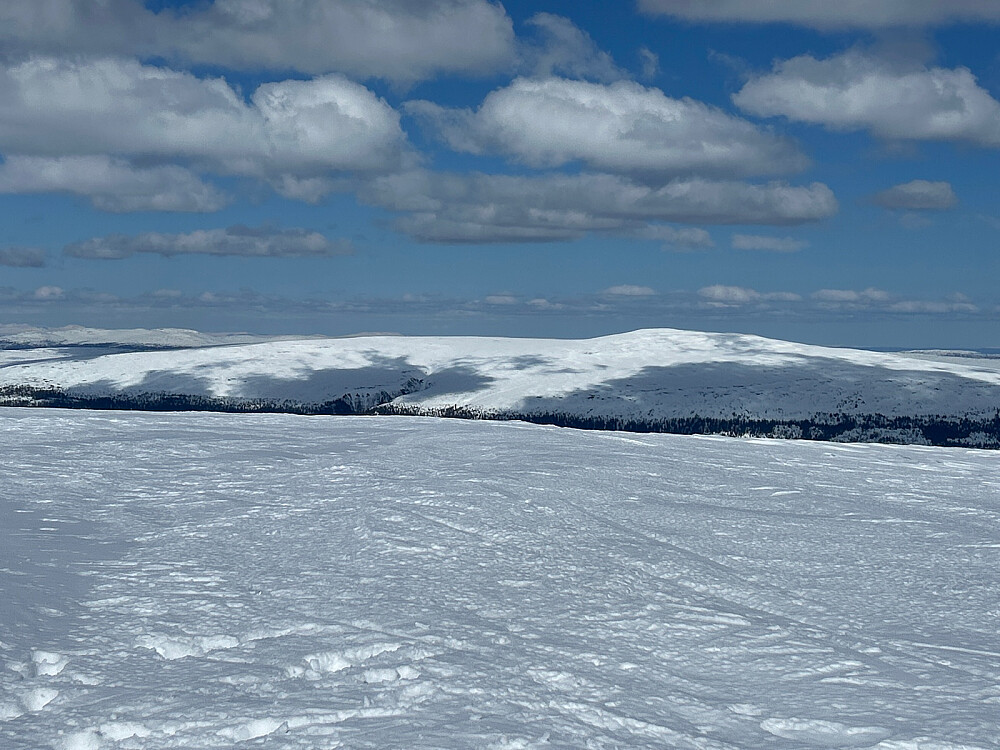 Tverrfjellet i Trysil - 1209moh, på den andre siden av Trysilelva.