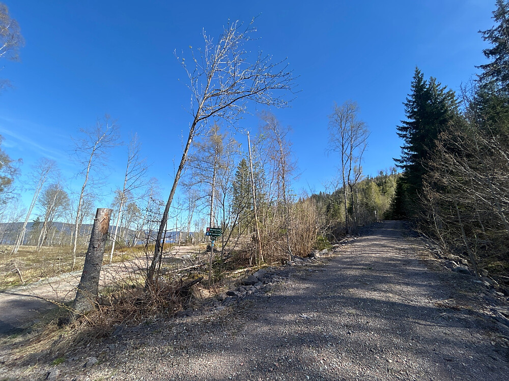 Rett etter turstart og herfra er det mye oppoverbakke til toppen av Vardåsen.