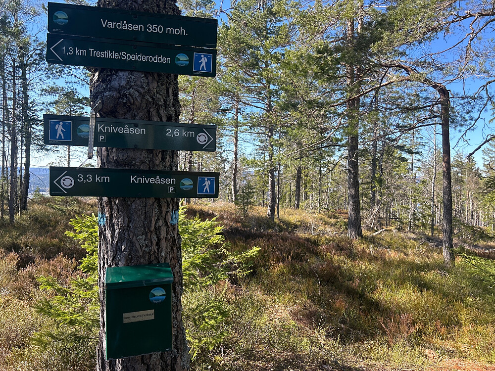 Toppen av Vardåsen.
