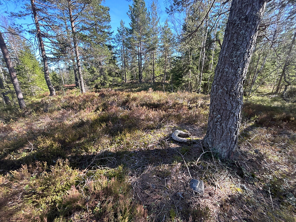 Her er vel det egentlige toppunktet på Vardåsen fant jeg ut.