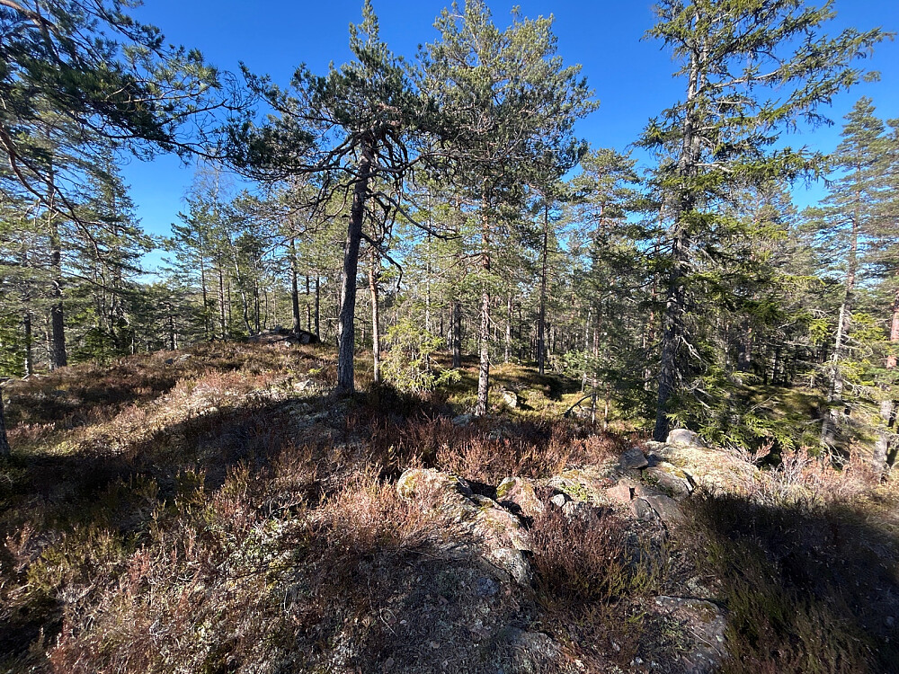 Toppunktet på Risåsen.