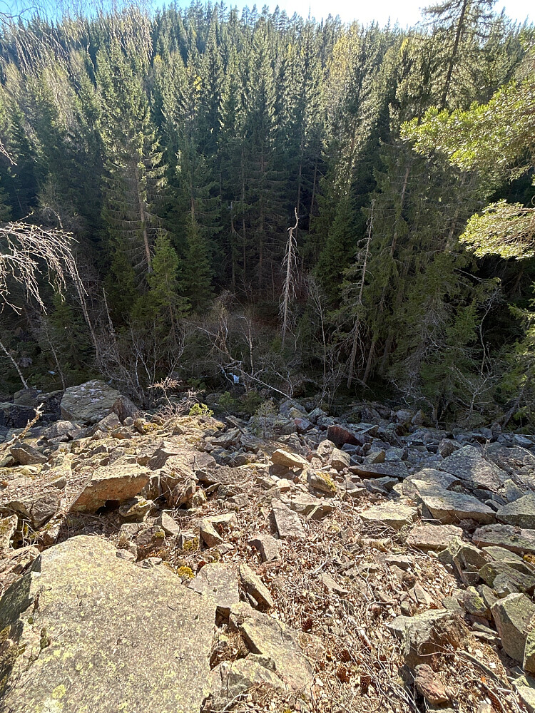 Kløfta mellom Røysjø og Trestikle. Det var litt plundrete å komme seg ned fra Risåsen.