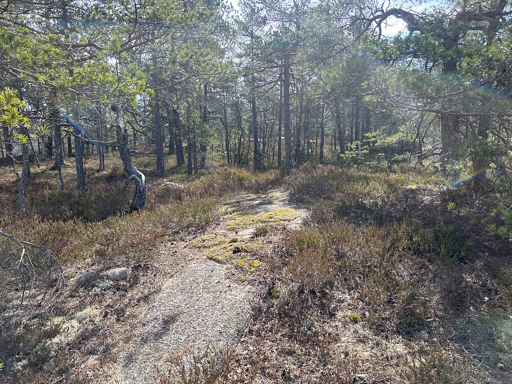 Toppområdet på Storås.