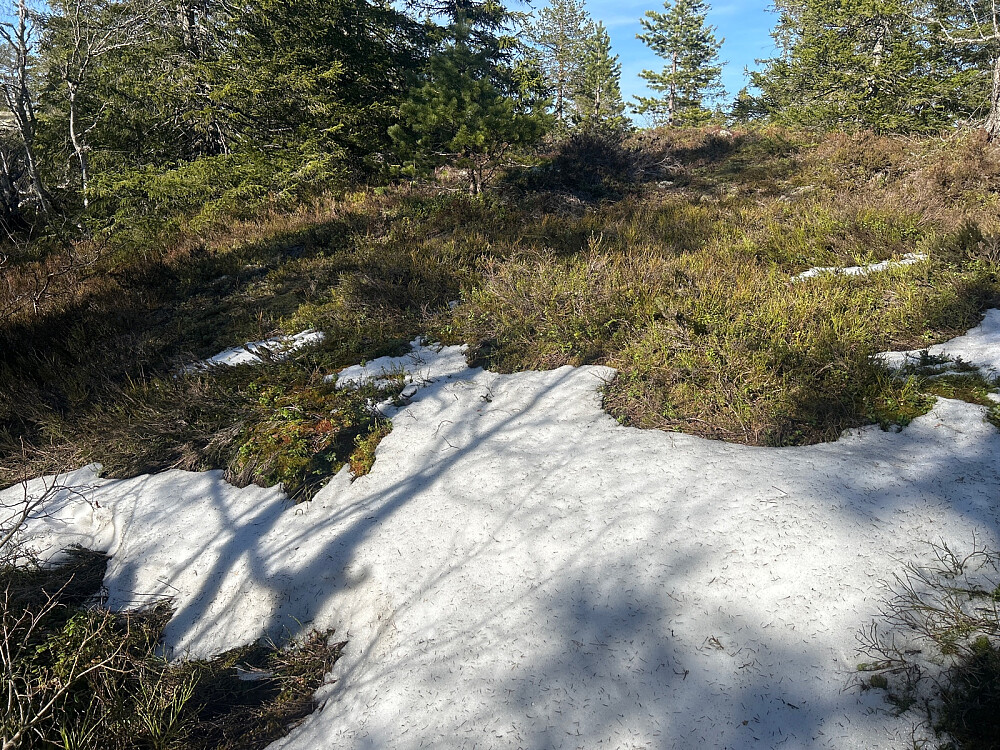 Eneste snøflekk opp mot Stubbekollen.
