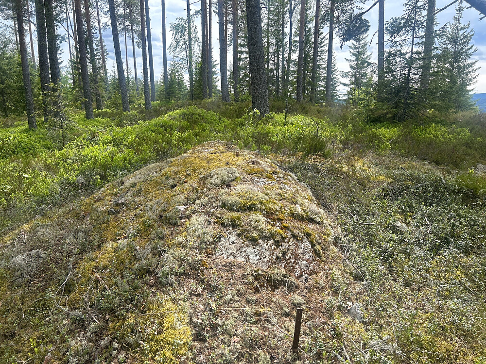 Trengsåsen Sør - 423moh.