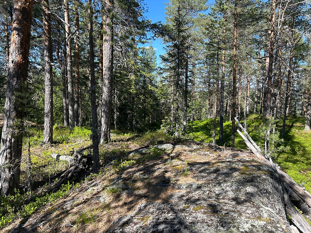Toppen av Høkerberget.