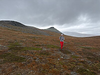 OdinB_20250906_68bc36abdab3e.jpg