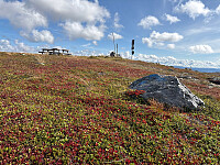 OdinB_20250907_68bd73abc8712.jpg