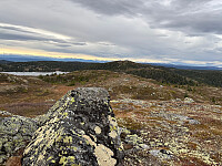 OdinB_20251013_68ed1471118c0.jpg